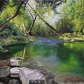 лесной уголок природы