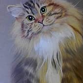 Любопытно- ласкательный