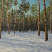 Солнце в сосновом