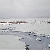 Не замерзающий ручей в тундре. Архангельской области.