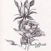 Роза графика