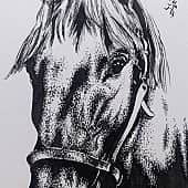 Любопытный  A Curious