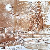 Утро в лесу