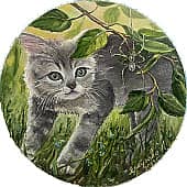 Знакомство