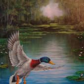 На лесном озере