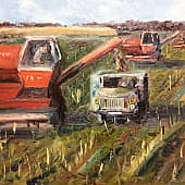 Последние приготовления к зиме