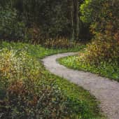 "Дорожка куда надо"