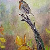 Малиновка-зарянка