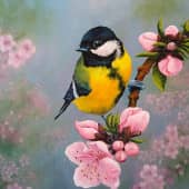 Персики в цвету-весны творение