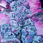 Птицы ранним утром