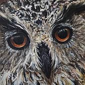 Взгляд совушки