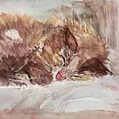 "Кошка на подушке"