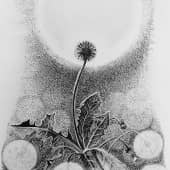 Тайна Одуванчика