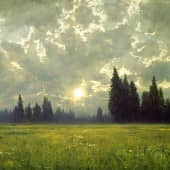 Картина "Солнце безымянного леса"