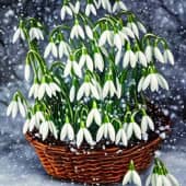 Картина "Корзина с подснежниками"