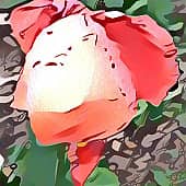 фильм Джокер 2. Хоакин Феникс tribute