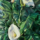 Февральская Гранада.