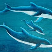 Семья дельфинов