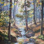 Лесной ручей