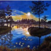 Полнолуние на болотистом озере