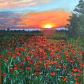 Маковое поле