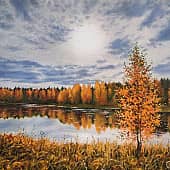 Октябрь. Озеро Плесецкое, Архангельская область