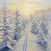 Зимний свет