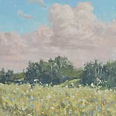 Июльский день.