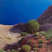 У самого синего...