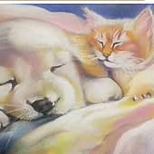 Нежность пушистая