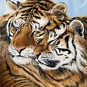 Полосатое счастье