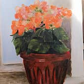 Бегония на старом подоконнике