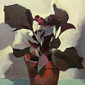 Красная бегония под лампой Ильича