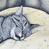 Сладкий сон