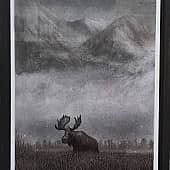 Камчатские предгорья.