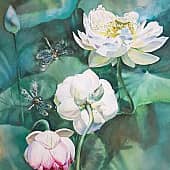 Лотосы и стрекозы в ботаническом саду Малаги