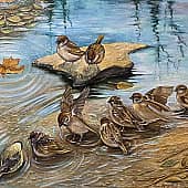 Весёлое купание