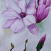 Нежная магнолия