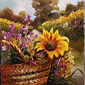 Подсолнухи