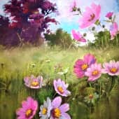 Космея полевая