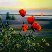 ." Маки на закате" холст. масло. мастихин. ( Наша природа Астраханской  области)