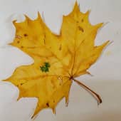 Скоро осень