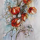 Физалисы букет