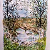 Хутор Ясырев."Озеро печали"на пастбище для выпаса травоядных животных.