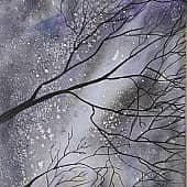 Звёздное небо