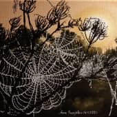 В паутине безвременья