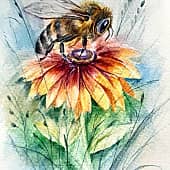 Акварелька летняя