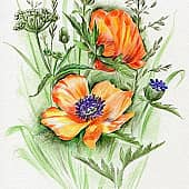 Полевой букетик