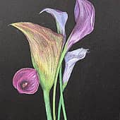 Каллы настроения