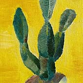 Кактус на желтом фоне